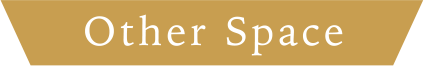 Other Space